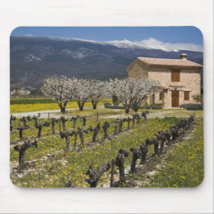 Mousepad Vinhedo dormente, flores de frutas, casa de pedra,