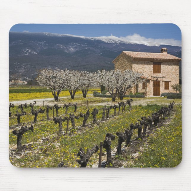 Mousepad Vinhedo dormente, flores de frutas, casa de pedra, (Frente)