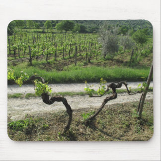 Mousepad Vinhedo na região de Chianti de Italia
