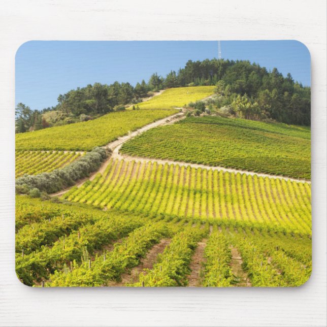 Mousepad Vinícola, Stellenbosch, Cabo Ocidental (Frente)