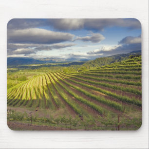 Mousepad Vinícola. Vale de Napa. Napa. Condado de Napa,