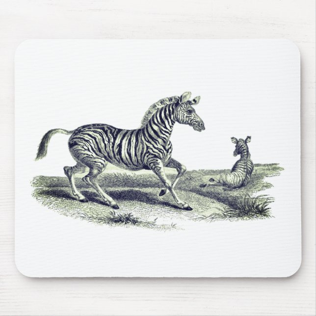 Mousepad Vintage Art Zebra E Foal Willife (Frente)