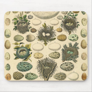 Mousepad Vintage Bird Nest Art Painting
