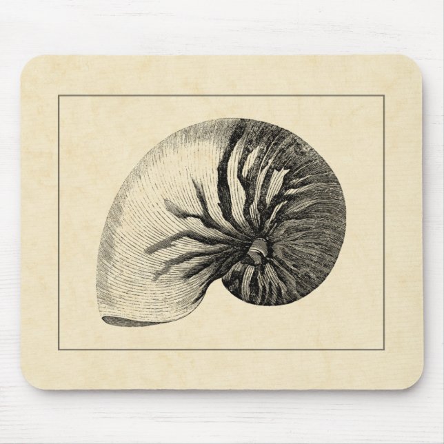 Mousepad Vintage Black and White Conch Shell (Frente)