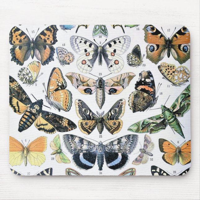 Mousepad Vintage Butterfly Papillon Antiga Ilustração Arte (Frente)