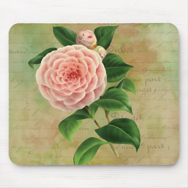 Mousepad Vintage Camellia Botânica Francesa (Frente)