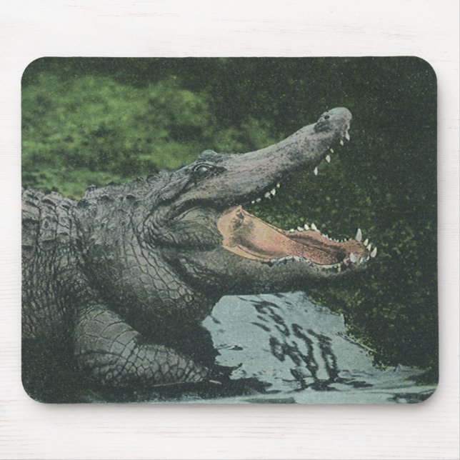 Mousepad Vintage Crocodile Reptiles, Marine Animal Life (Frente)