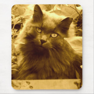 Mousepad Vintage de longa data Blue Cat Russo
