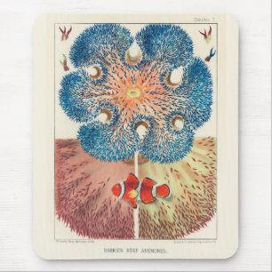 Mousepad Vintage Excelente Barrier Reef Anemones Carol Fish