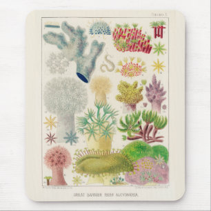Mousepad Vintage Excelente Barrier Reef da Austrália Alcyon