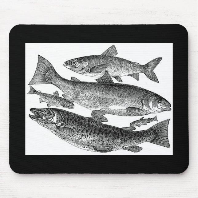 Mousepad Vintage Fish Impressão (Frente)