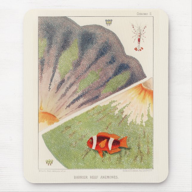 Mousepad Vintage Great Barrier Reef of Australia Anemones (Frente)