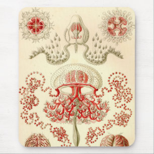 Mousepad Vintage Haeckel