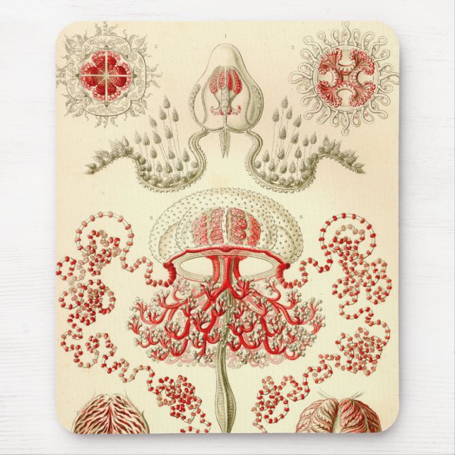 Mousepad Vintage Haeckel (Frente)
