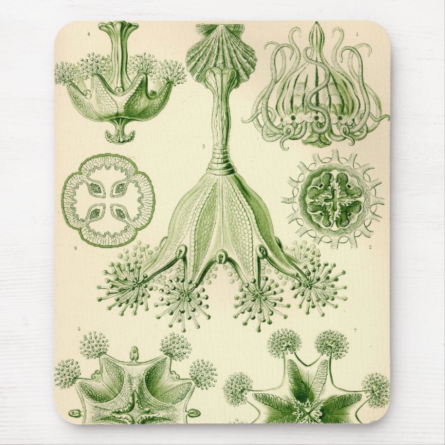 Mousepad Vintage Haeckel (Frente)