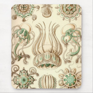 Mousepad Vintage Haeckel