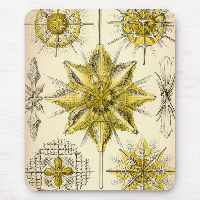 Mousepad Vintage Haeckel (Frente)