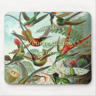 Mousepad Vintage Hummingbird