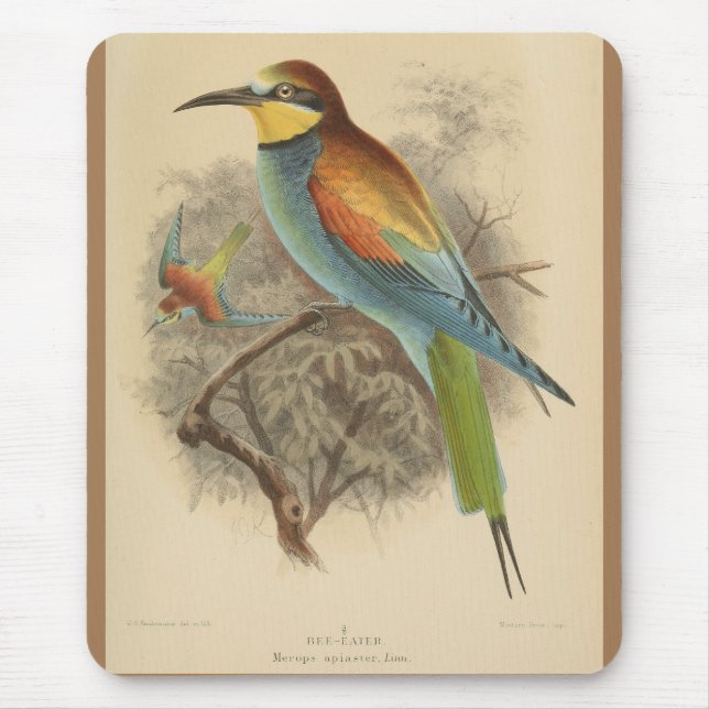 Mousepad Vintage - Ilustração do Bee-Eater Europeu (Frente)