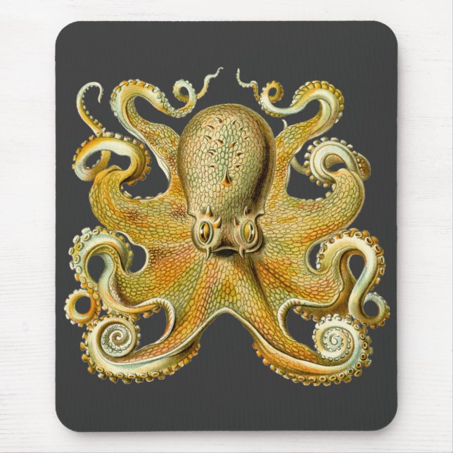 Mousepad Vintage Kraken, Octopus Gamochonia, Ernst Haeckel (Frente)