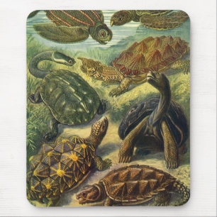 Mousepad Vintage Land Tortoise Sea Turtles por Ernst Haecke
