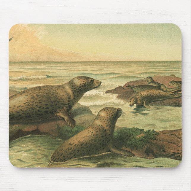 Mousepad Vintage Leopardo, Animais Aquáticos Vida Marinha (Frente)