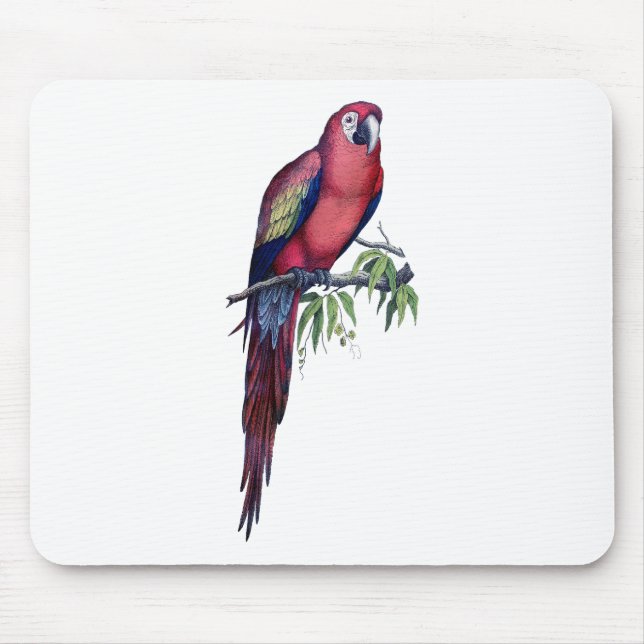 Mousepad Vintage Macaw Bird (Frente)