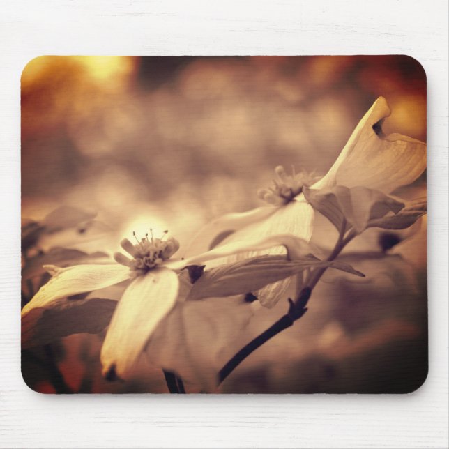 Mousepad Vintage Sepia Dogwood Blossomo Flor (Frente)