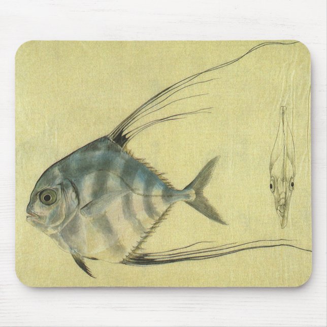 Mousepad Vintage Threadfin Trevally, Peixe Pompano Africano (Frente)