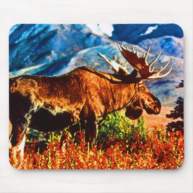 Mousepad Vintage USA Mose-boi do Alasca (Frente)