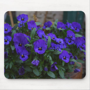 Mousepad Viola