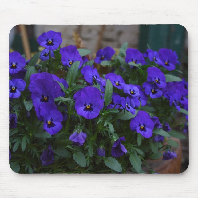 Mousepad Viola wittrockiana (Frente)