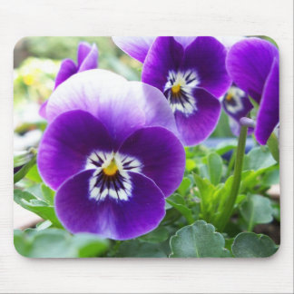 Mousepad Violas roxas
