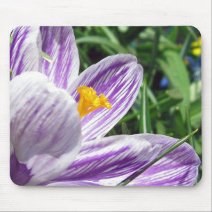 Mousepad Violet Primavera Crocus