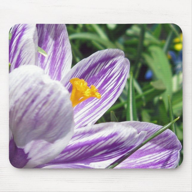 Mousepad Violet Primavera Crocus (Frente)
