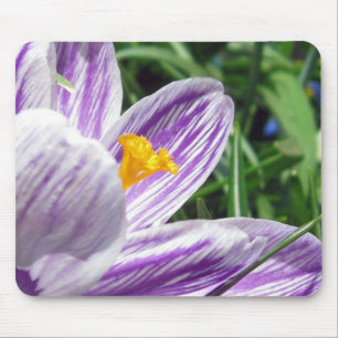 Mousepad Violet primavera crocus
