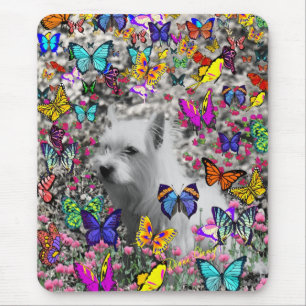 Mousepad Violeta nas borboletas - cão branco de Westie