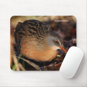 Mousepad Virginia Rail Waterbird no Underbrush