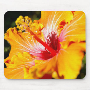 Mousepad Visão lateral do Flor do Hibiscus Laranja