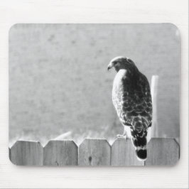 Mousepad Visitante do quintal