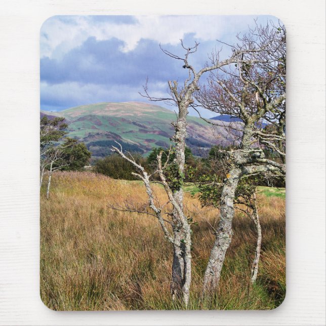 MOUSEPAD VISÕES DAS PAREDES (Frente)