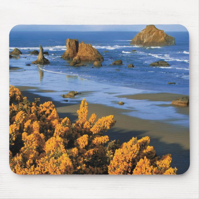 Mousepad Vista da Praia de Oregon em Bandon (Frente)