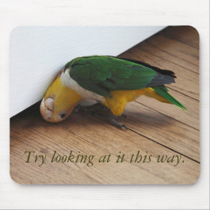 Mousepad Vista da tentativa