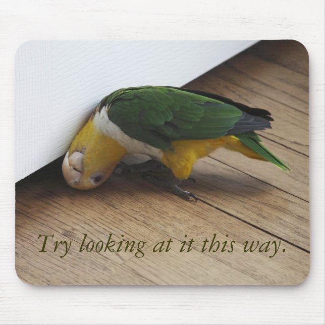 Mousepad Vista da tentativa (Frente)