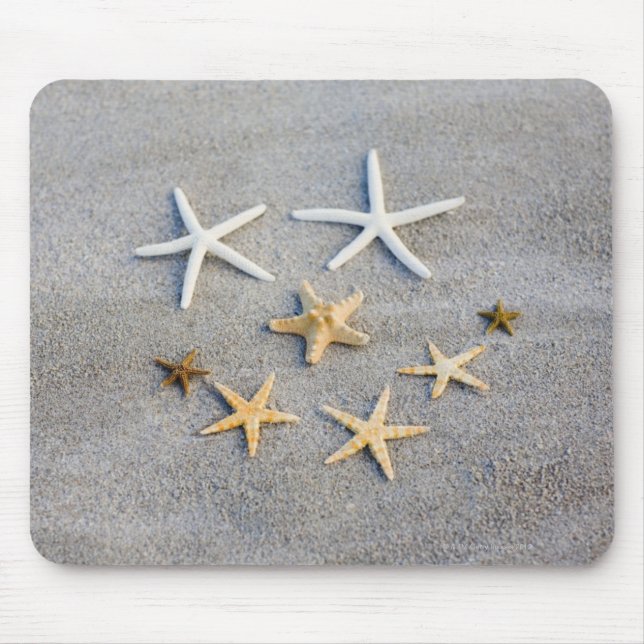 Mousepad Vista de alto ângulo de uma estrela da praia (Frente)