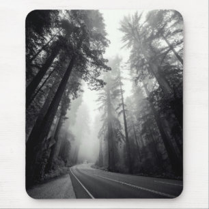 Mousepad Vista de árvores da sequóia na floresta