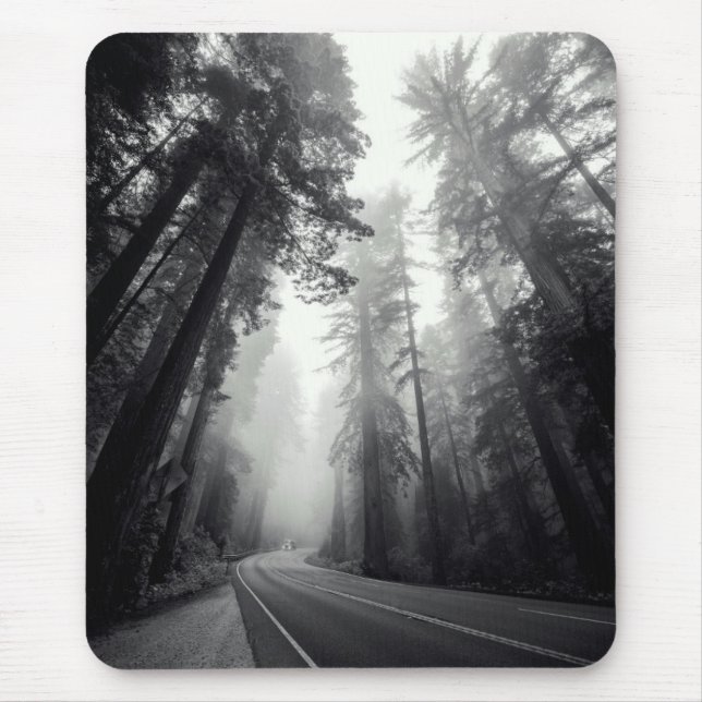 Mousepad Vista de árvores da sequóia na floresta (Frente)