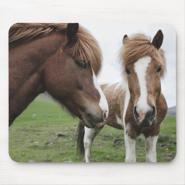 Mousepad Vista de Cavalo, close-up (Frente)