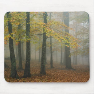 Mousepad Vista de outono de floresta nebulosa, Avô 3