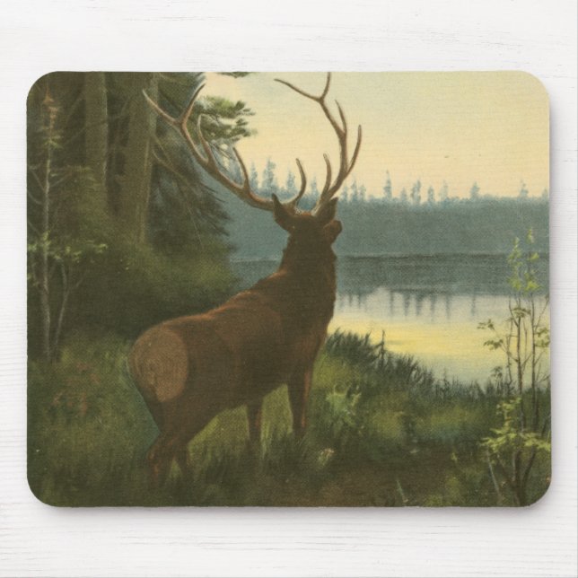 Mousepad Vista de trás de Elk Olhando sobre um lago (Frente)